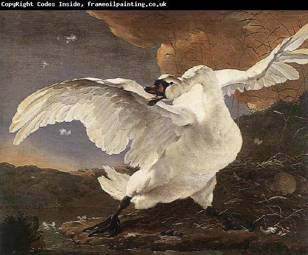 ASSELYN, Jan The Threatened Swan before 1652